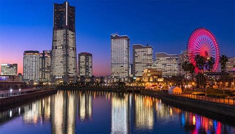 Image result for 3Shape Tutorials