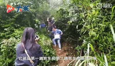 村民挖到金丝楠木价值600万？不明埋藏物归国家-搜狐新闻