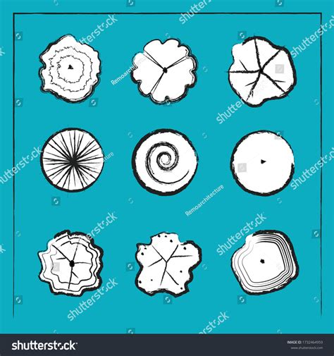 TreePlan 的图像结果