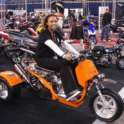 Ice Bear Office Photos