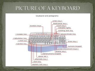 Image result for ICT Input Module
