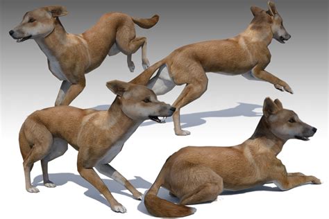 Image result for Dingoo Mod