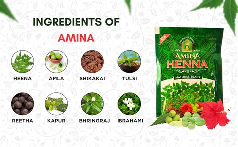 Amina Henna, Natural Black Mehndi Powder, 250 g (Pack of 10) : Amazon ...