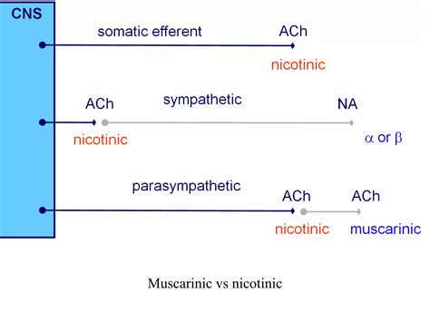 3._Atropine_poisoning.pptx