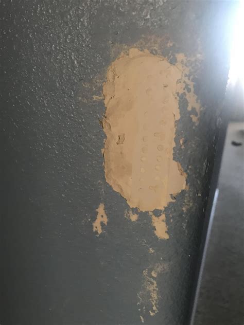 Image result for Toad Eating Drywall