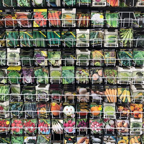 How to Start Seeds Indoors in 4 Easy Steps — Seattle's Favorite Garden ...