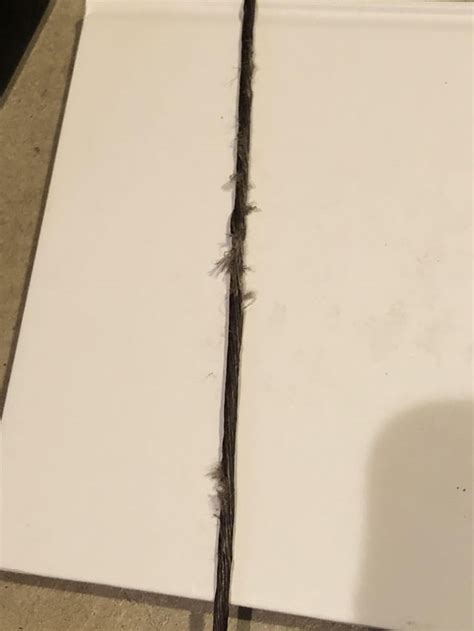 Image result for Bow String Fraying