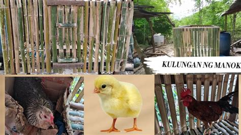 Image result for Variance of Sampling Distribution Formula