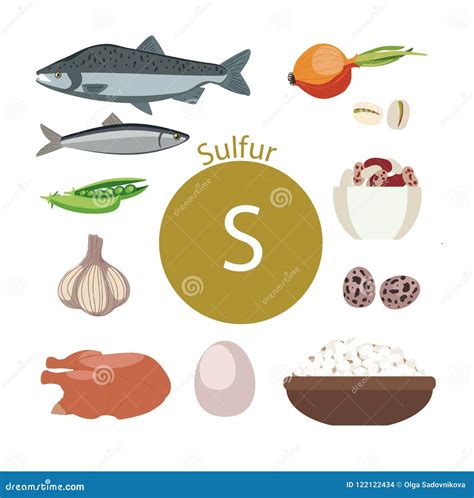 Healthy FoodProducts Rich with Sulfur. a Set of Organic Organic Foods ...