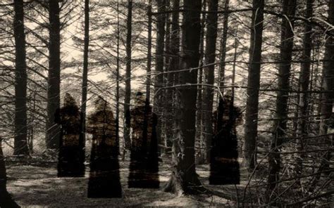 Truth Or Myth: Haunted National Park In Meghalaya | WhatsHot Kolkata