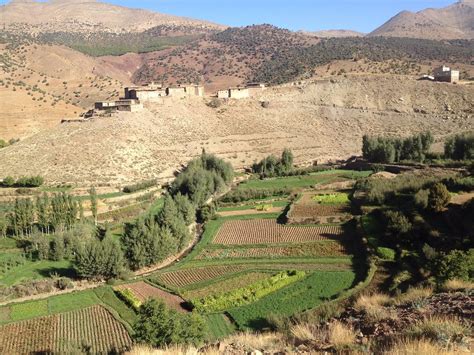 THE BEST Places to Visit in Agouti (2026) - Must-See Attractions