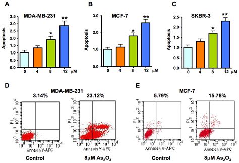 Arsenic Trioxide Inhibits Cell Growth and Induces Apoptosis through ...