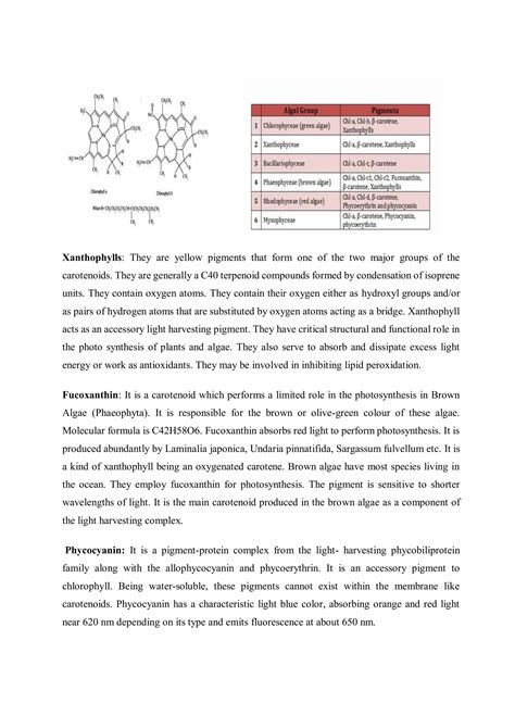 ALGAL PIGMENTS DIFFERENT PIGMENTS FOUND IN ALGAE AND THEIR ROLE IN ECOSYSTEM | PDF