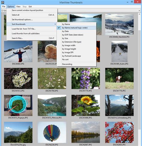 Replace your Windows Image Viewer with Irfanview