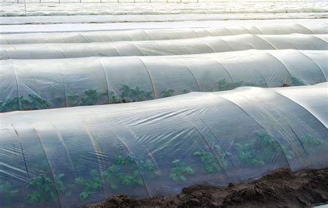 Agriplast Blogs – Insights on Hi-Tech Farming & Protected Cultivation