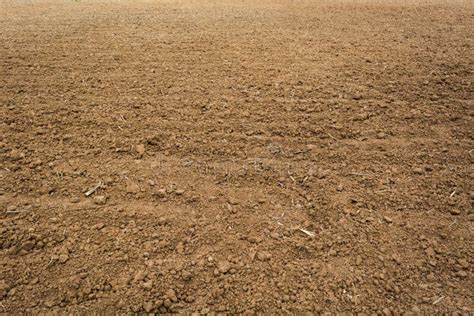 Ground Loop Currents 的图像结果