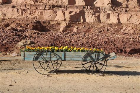 The old history in the antique kingdom of saudi arabia | Premium Photo