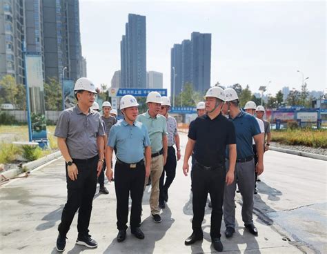 占地约607亩！岳阳港虞公港区后方陆域工程即将开建-水运频道