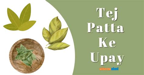 Tej Patta Ke Upay: बहुत कारगर हैं ये तेज पत्ते के 5 उपाय