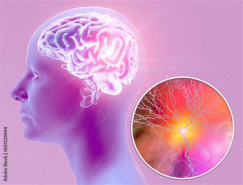 Synapse in Brain 的图像结果