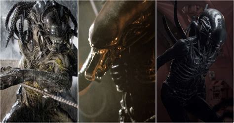 Image result for Alien Movie Series