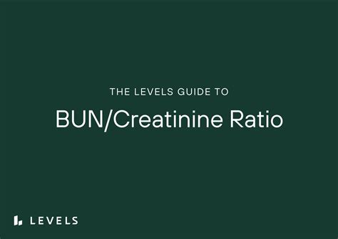 Guide to the BUN to Creatinine Ratio | Levels | Levels