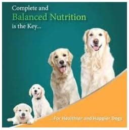 Himalaya Mobility Plus Joint and Hip Supplement for Dogs & Cats Online ...