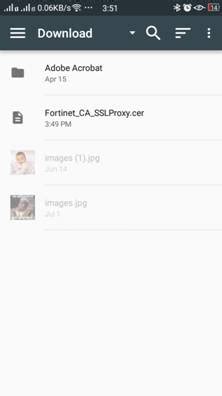 Step 5. Adjust certificate settings andselect "VPN and Apps" as ...