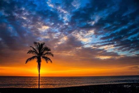 Kona Hawaii Faster Freestyle Swim Camp - Seven-day Pisces Camp, Kailua ...