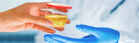 AzizA Management India Private Limited