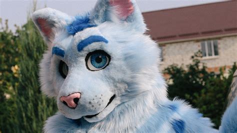What are furries?