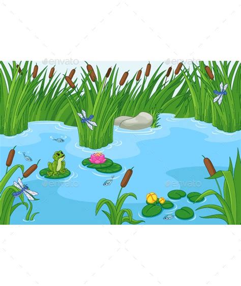 frog habitat drawing