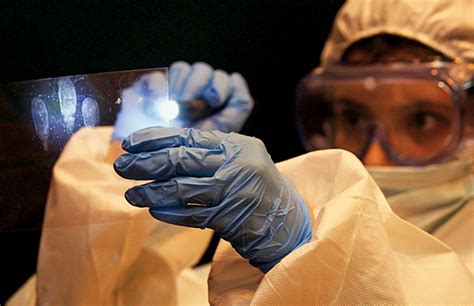 Forensic Technology 的图像结果