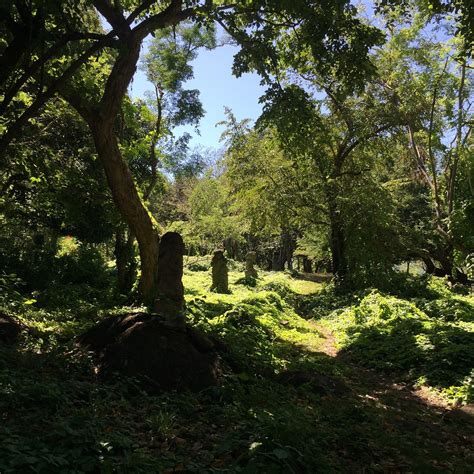 BAHIA ZAPATERA (Isla Zapatera) - Lodge Reviews & Photos - Tripadvisor