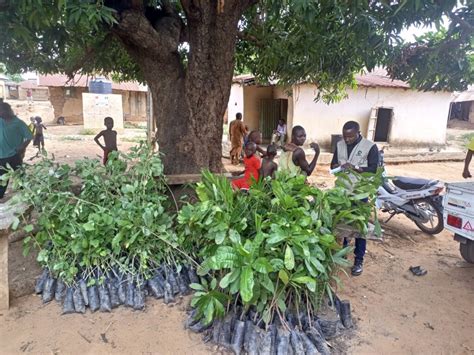 Image result for Community Tree-Planting