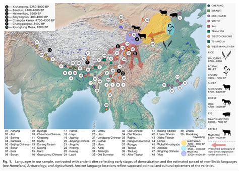 Language Map 的图像结果