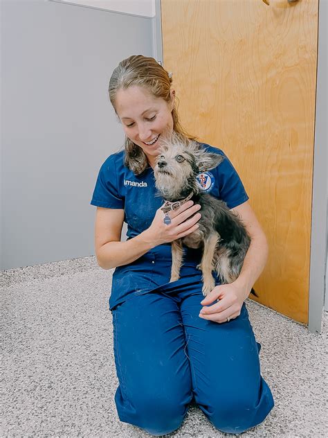 Veterinarians in Coatesville, PA - Brandywine Valley Veterinary Hospital