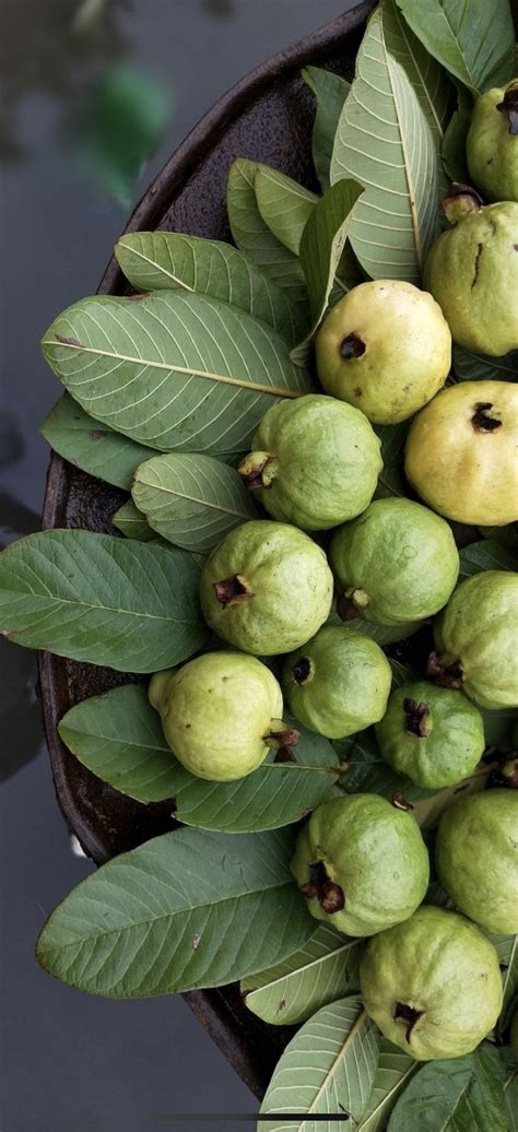 Pin by Sarah Sommers on fruit market in 2025 | Guava plant, Guava fruit, Fruit photography