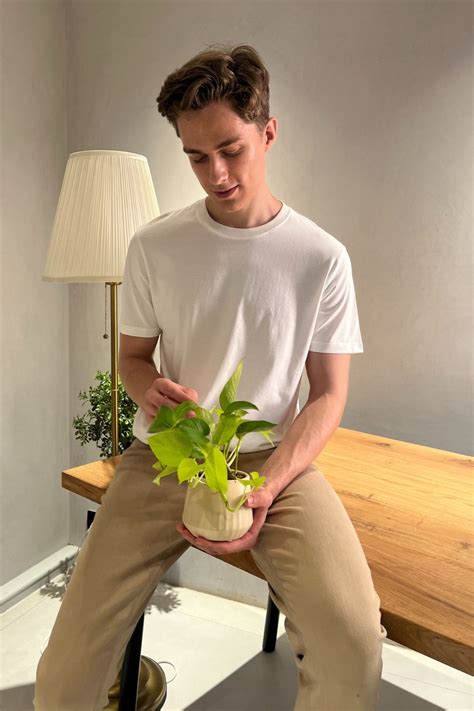 White Cotton IQ Basics – Maxzone Clothing