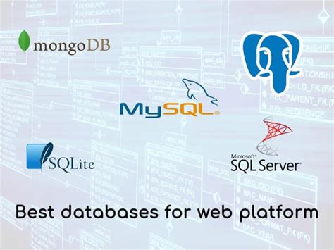 Database in Web App 的图像结果
