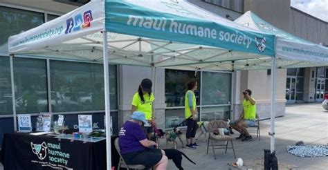 PETCO Mobile Adoption Event April 20th, Petco, Puunene, 20 April 2024 ...