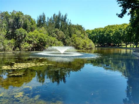 Christmas Images Hyde Park Perth Australia Hyde Park Perth Elopement