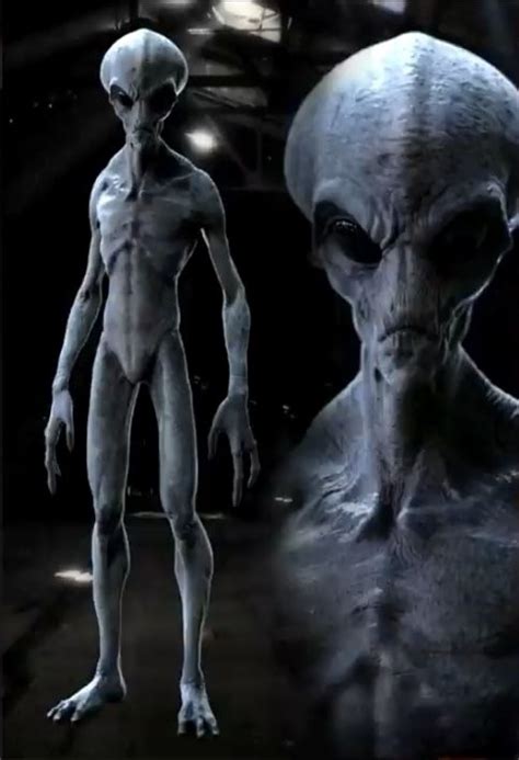 Image result for Alien 2024 Humanoide