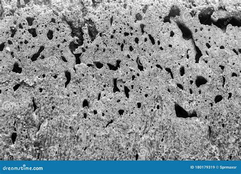 Image result for Bread Crust