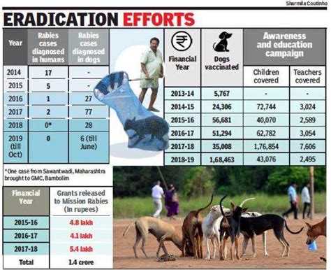 Goa on course to attain first rabies-free state status | Goa News ...