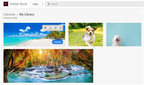 Adobe Stock Downloader 的图像结果