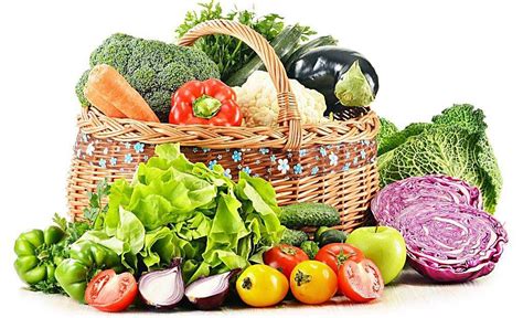 揭秘宏鸿无公害蔬菜基地-蔬菜配送|食材配送|农产品配送|宏鸿农产品集团有限公司