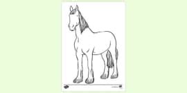 Realistic Printable Horse Colouring Pages (teacher made)