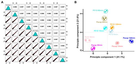 OMICS Analyses Unraveling Related Gene and Protein-Driven Molecular ...