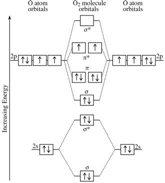Image result for Atomic Structure of O2